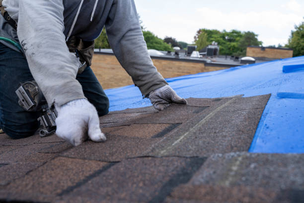 Best Metal Roofing Contractor  in Andalusia, IL