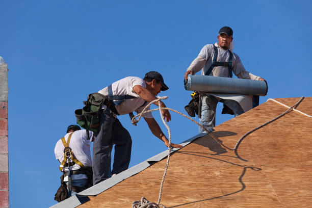 Best Residential Roofing Contractor  in Andalusia, IL
